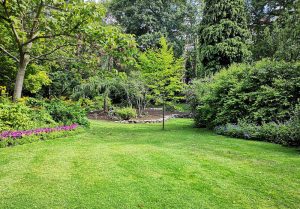 Optimiser l'expérience du jardin à Beaucroissant